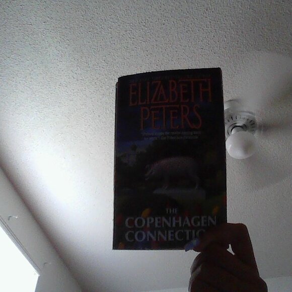 Other - The Copenhagen Connection by Elizabeth Peters